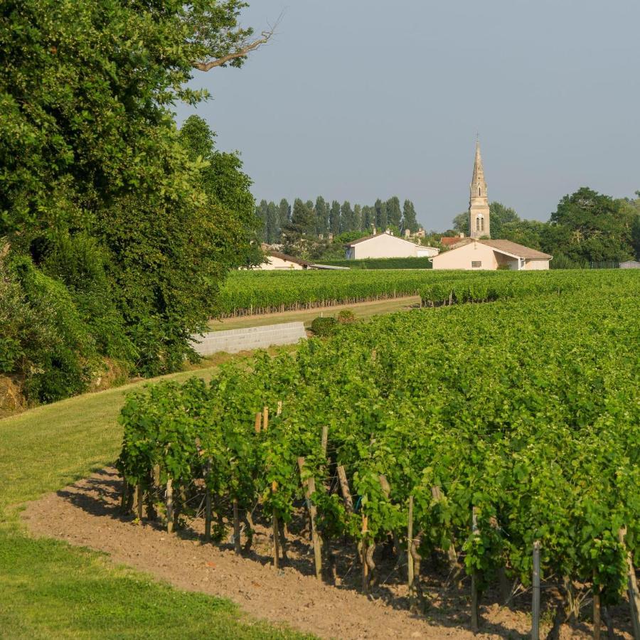 Clos De Bertinat Saint-Sulpice-de-Faleyrens Exterior foto